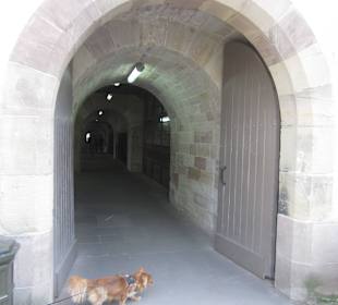 Straßburg im Frühling