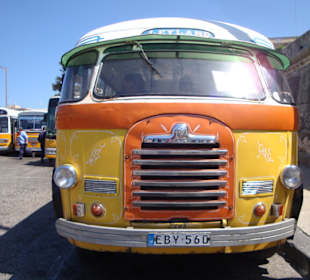 Malta Bus