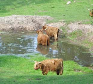 WildparkImpression September 2013