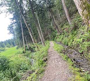 Wandern Birkfeld