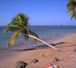 Karibischer Traumstrand