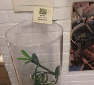 Spicy's Gewürzmuseum