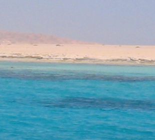 Korallenriff bei der Insel Paradise