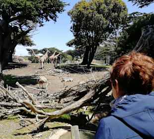 Impressionen von unseren Zoo-Besuch