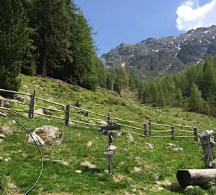 Wandern Naturno / Naturns