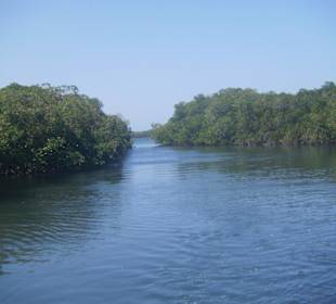 Ausflug Paradise Island