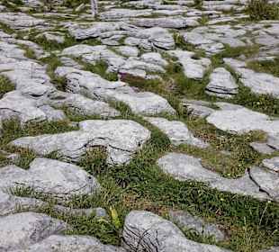 Bodenstruktur beim Poulnabrone Dolmen