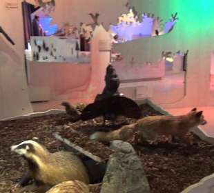 Nationalparkzentrum Haus der Berge