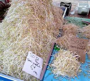 Rundgang über den Marché forain du Front de Mer