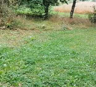 Schaugarten Eninger Weide