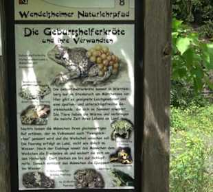 Wanderweg - Alter Steinbruch Pfaffenberg Runde