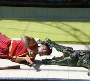 Phuket ZOO - 10 / 2010