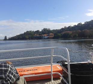Swan River