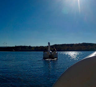 Pedalboat tour on the lake