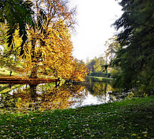Schlosspark Celle