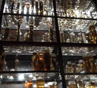 Museum der Naturkunde