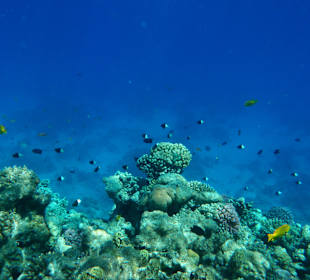 Hausriff - Hotel Bel Air Azur Resort