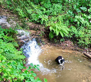 Wandern Leutschach an der Weinstraße