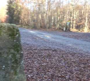 Alter Abteilungsstein 2