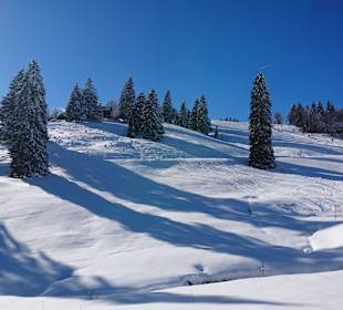 Grafenmatt, Feldberg