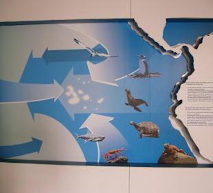 In der Station viele Erklärungen