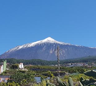 Wandern Teneriffa Kreaktiv Costa Adeje