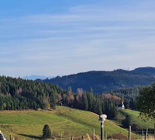 Wandern Todtnauberg