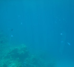 Submarine Sharm