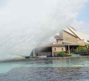 Dreamworld Bangkok