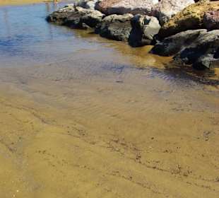 Buchten mit Lauwarmen Wasser