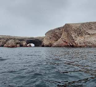 Ausflug Ballestas Inseln