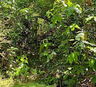 Mahara Sculpture Park and Pottery