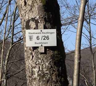 Buckfelsen