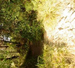 Wege Naturschutzgebiet