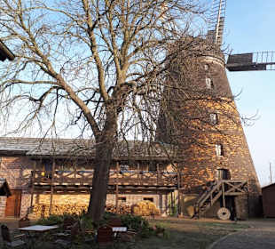 Die Holländer-Mühle