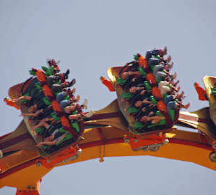 Tatsu - geiler Flug, man kanns nicht anders sagen!