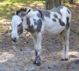 WP LH Herbst Impression