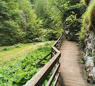 Erlebniswelt Mendlingtal
