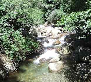 Da macht Wandern doch doppelt Spaß 