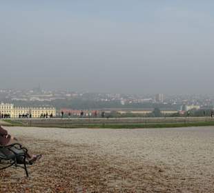 Blick auf Schloss Schönbrunn