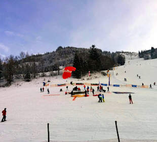 Paraski-Weltcup 2016