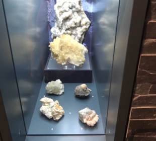 Museum Natur und Mensch