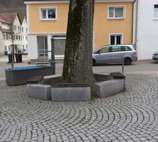 Naturdenkmal Alte Linde