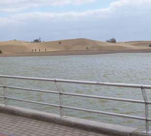 Dünen von Maspalomas