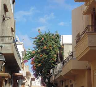 Stare Miasto Rethymno