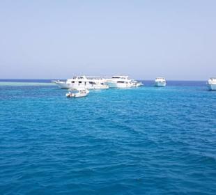 Mehrere Boote vor Utopia 