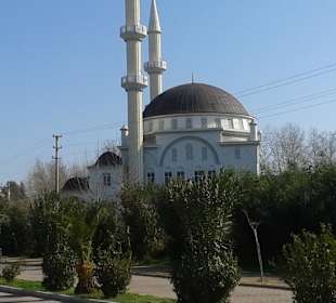 Moschee in Avsallar