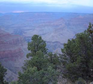 Parco nazionale Grand Canyon