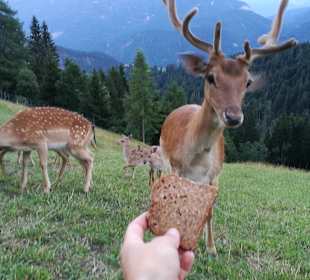 Wandern Oberdrauburg