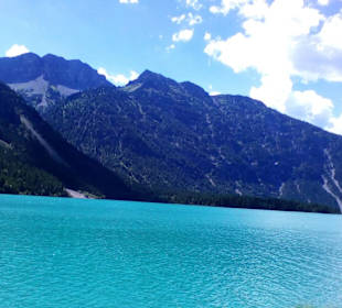 Plansee Reute